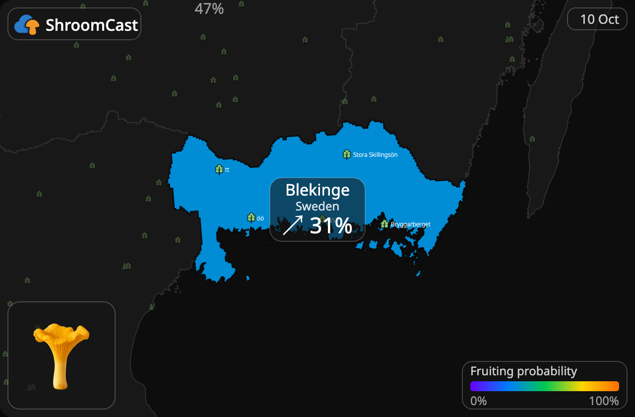 Rebozuelo Blekinge