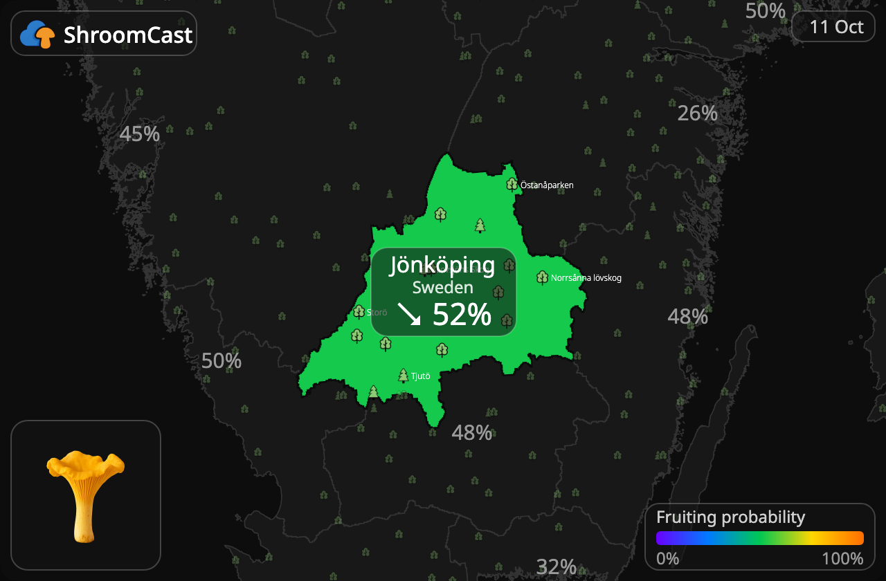 Rebozuelo Jönköping
