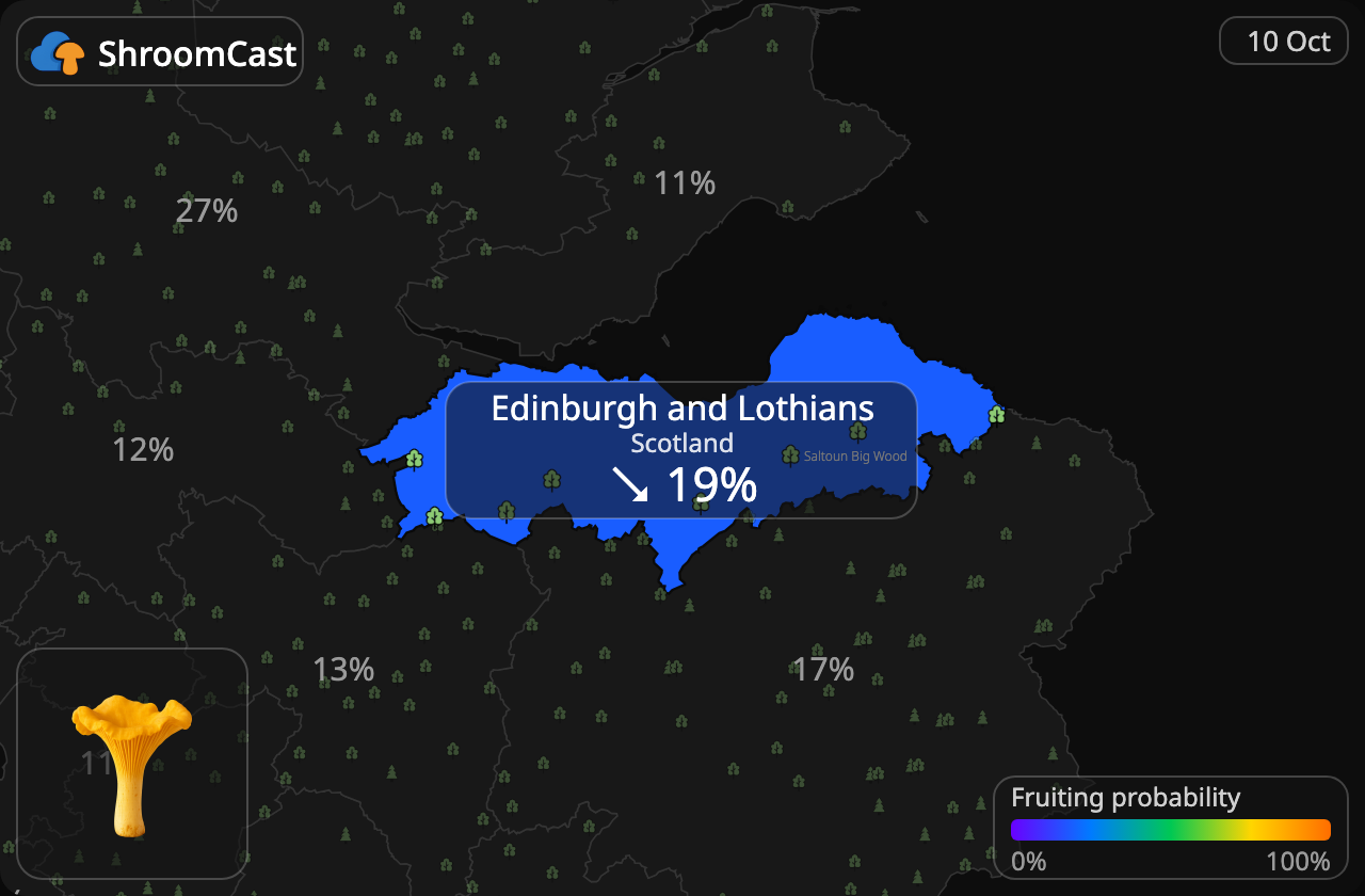Rebozuelo Edinburgh and Lothians