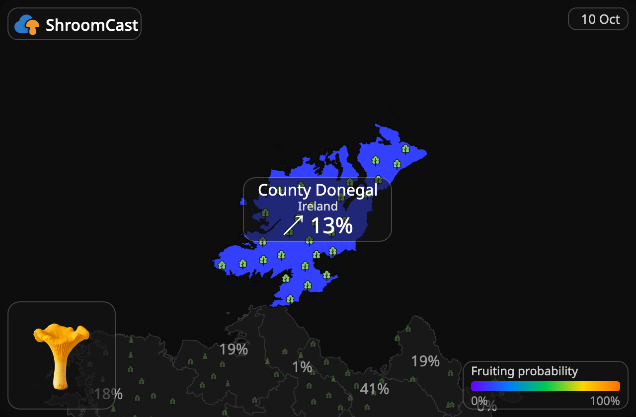 Rebozuelo County Donegal