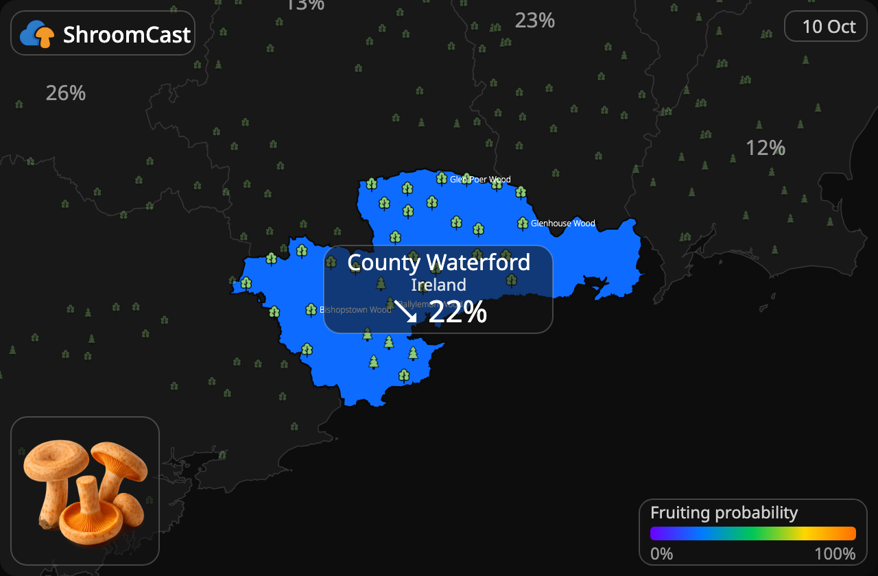 Níscalo County Waterford