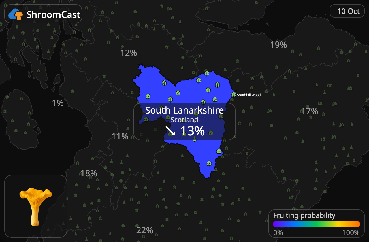 Rebozuelo South Lanarkshire