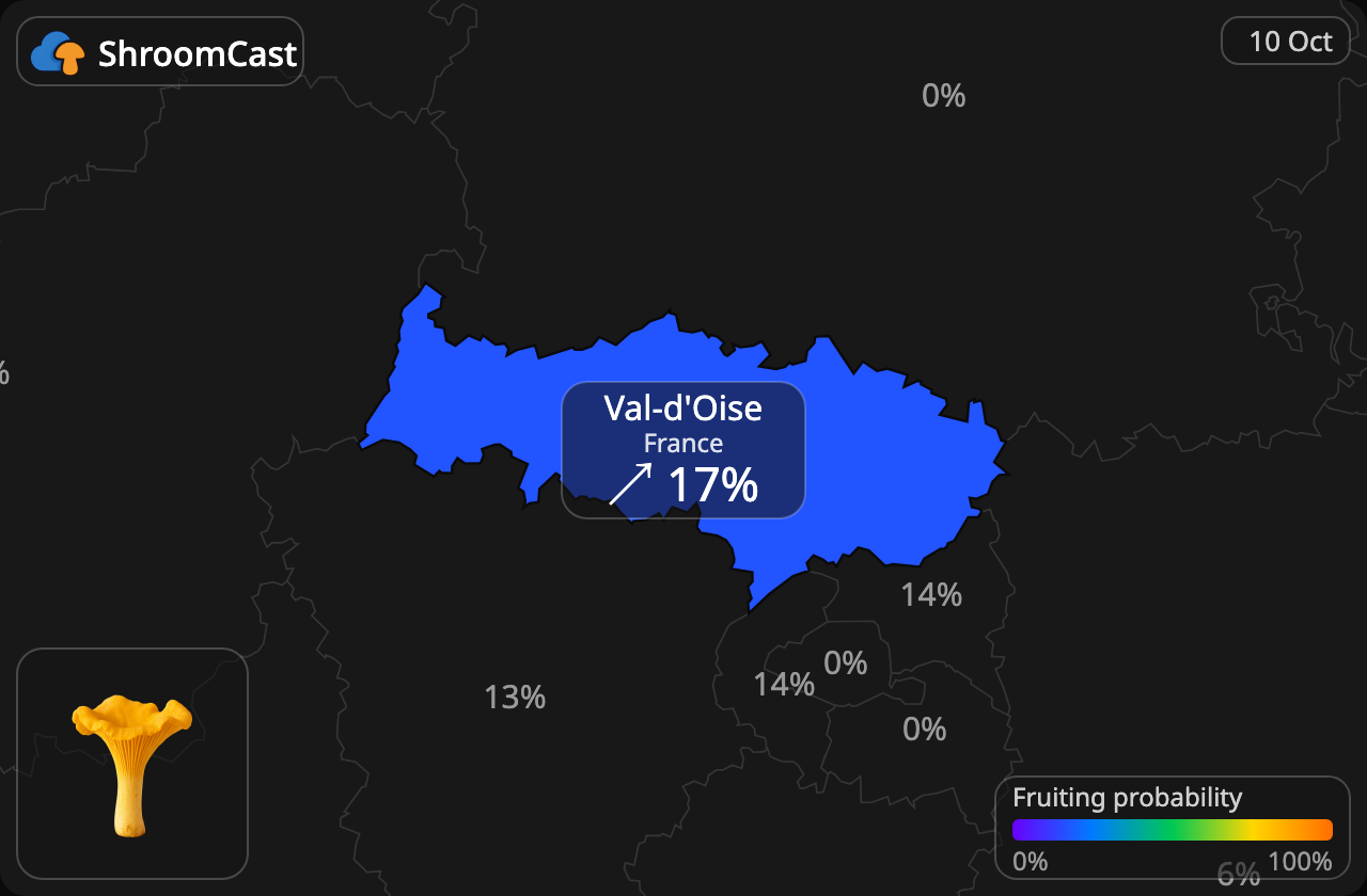 Rebozuelo Val-d'Oise