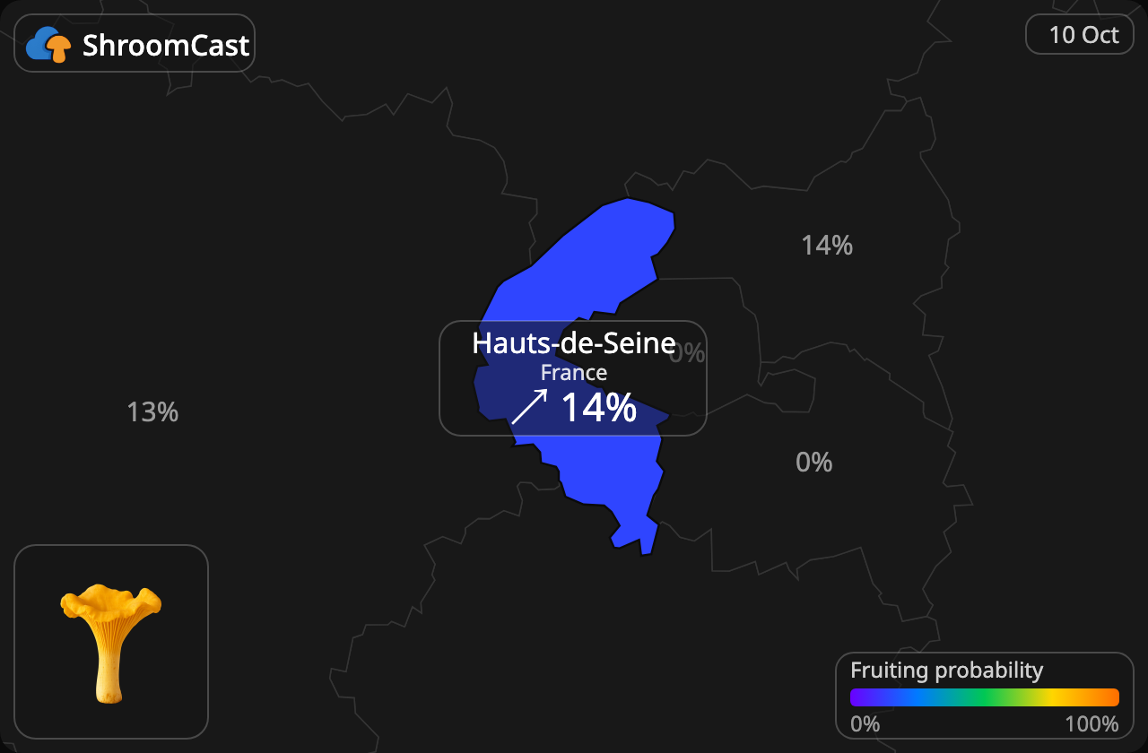 Rebozuelo Hauts-de-Seine