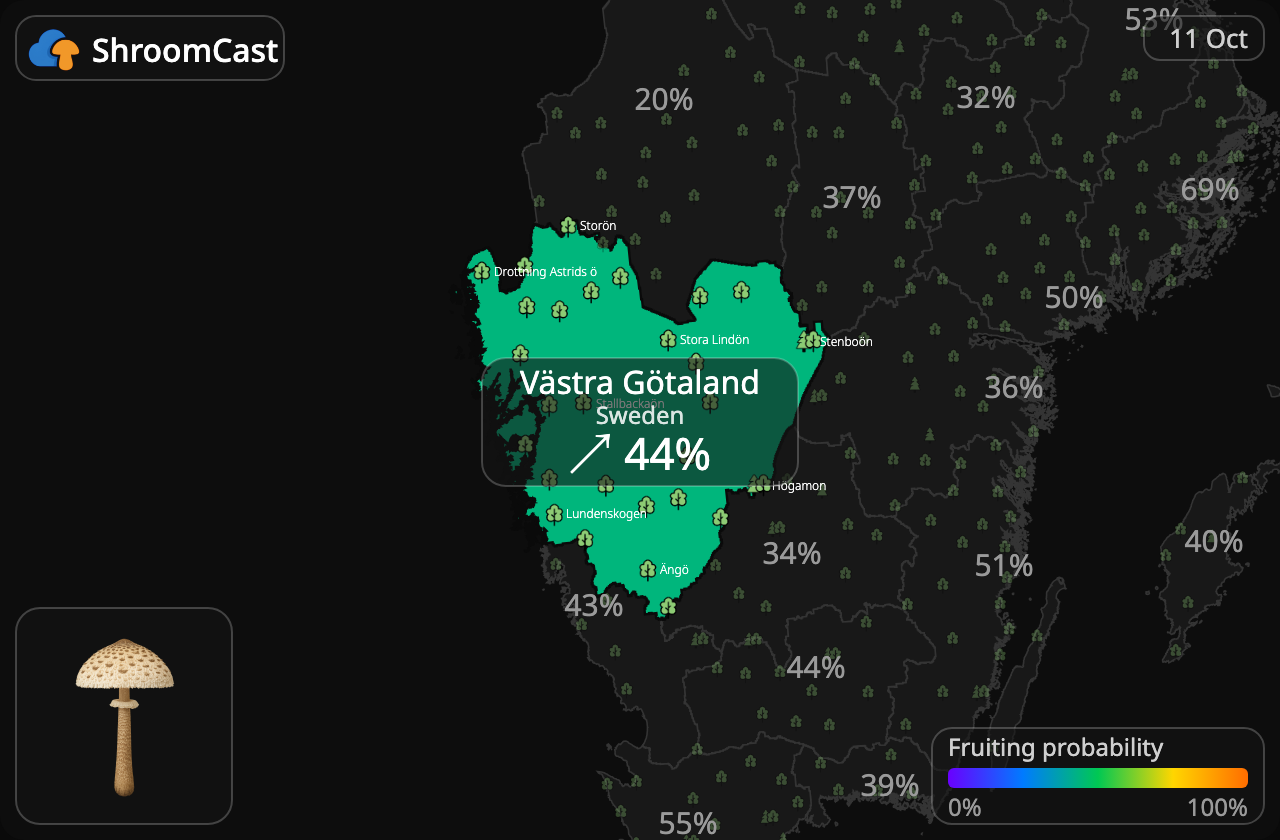 Parasol Västra Götaland