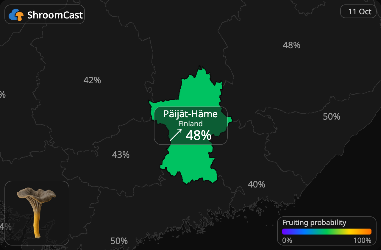 Angula de monte Päijät-Häme