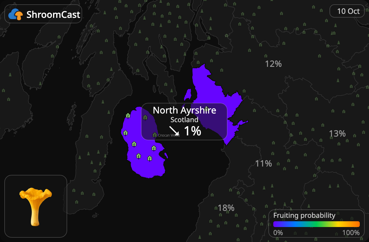 Rebozuelo North Ayrshire