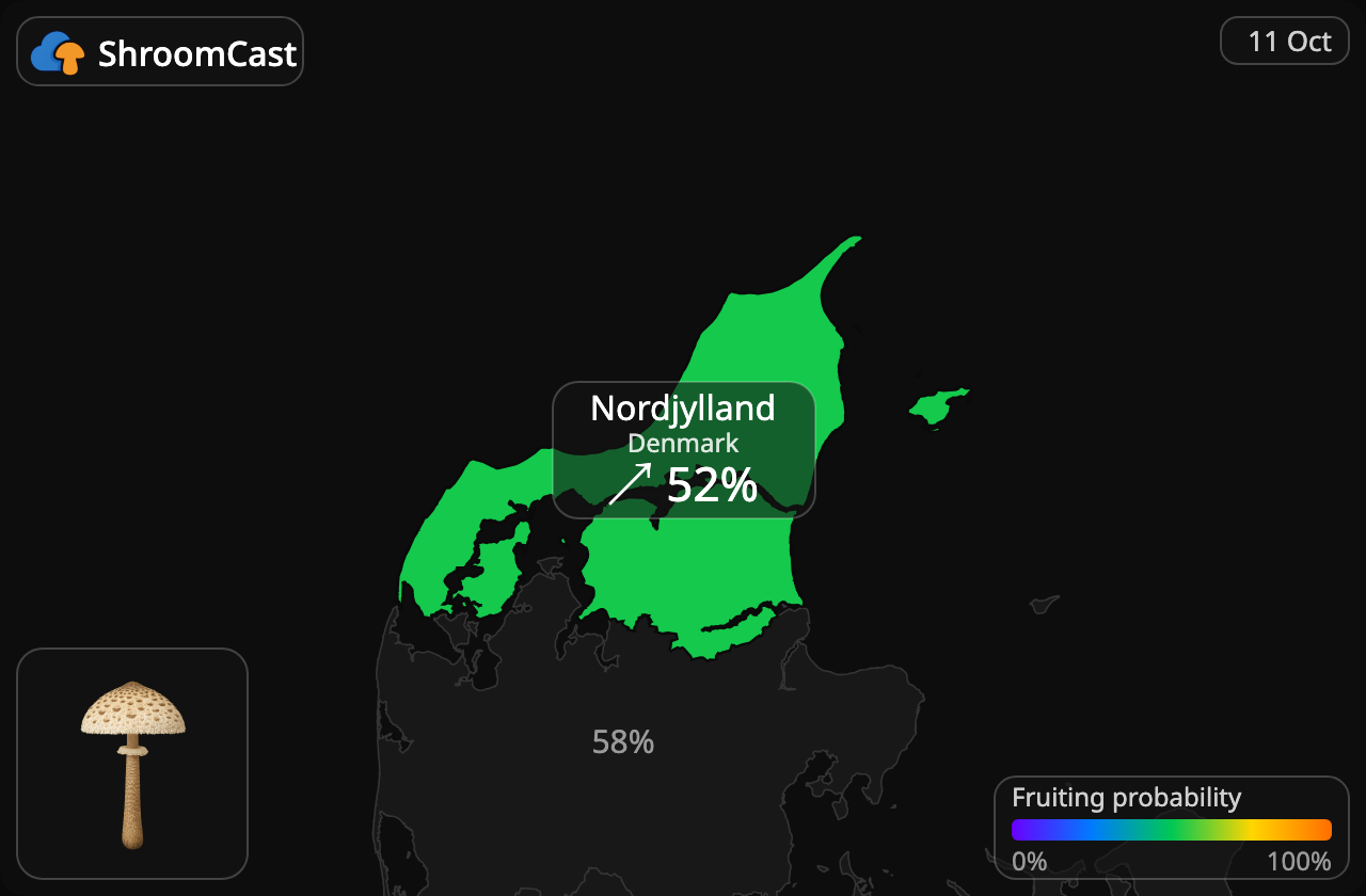 Parasol Nordjylland
