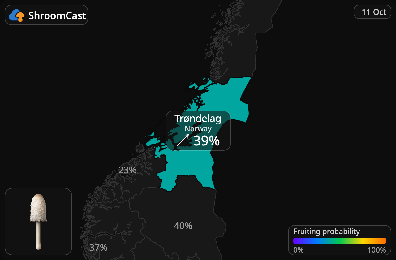 Barbuda Trøndelag