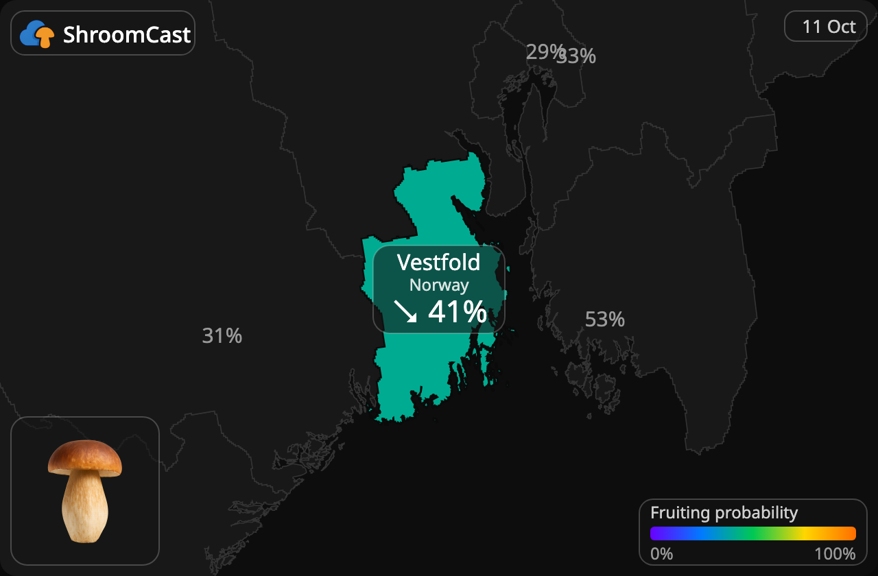 Boletus Vestfold