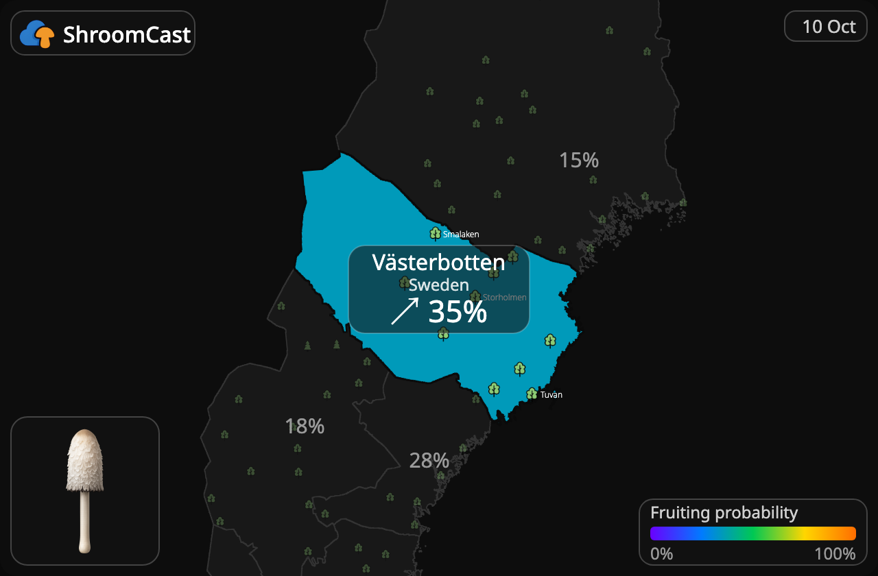 Barbuda Västerbotten