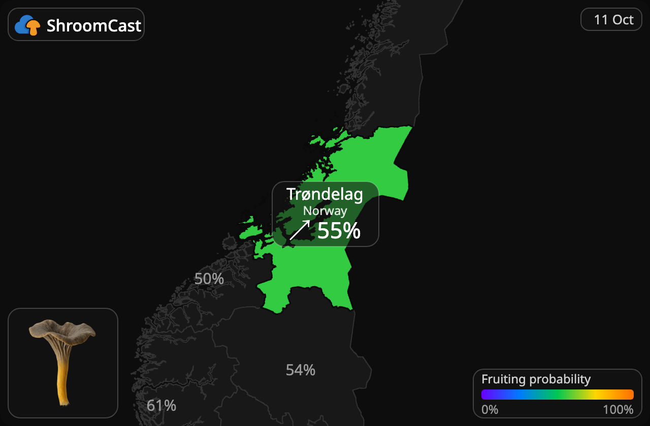 Angula de monte Trøndelag