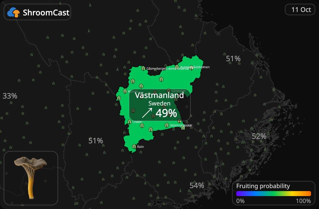 Angula de monte Västmanland