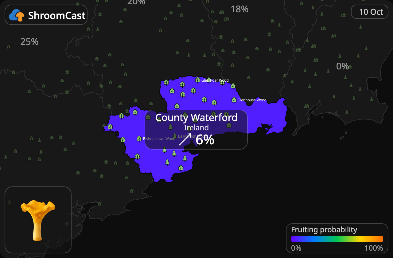 Rebozuelo County Waterford