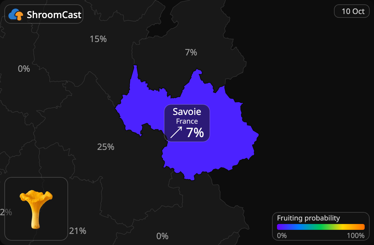 Rebozuelo Savoie
