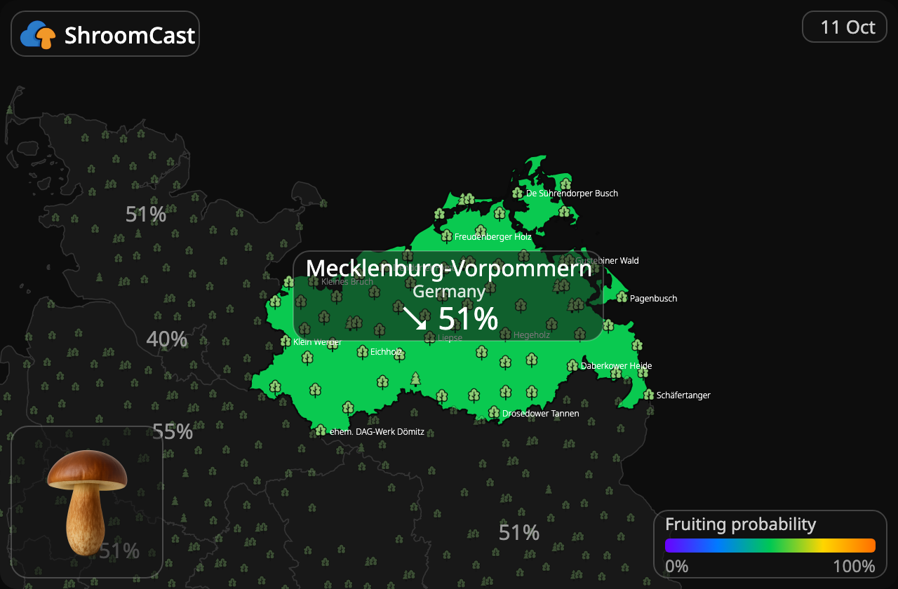 Boleto bayo Mecklenburg-Vorpommern