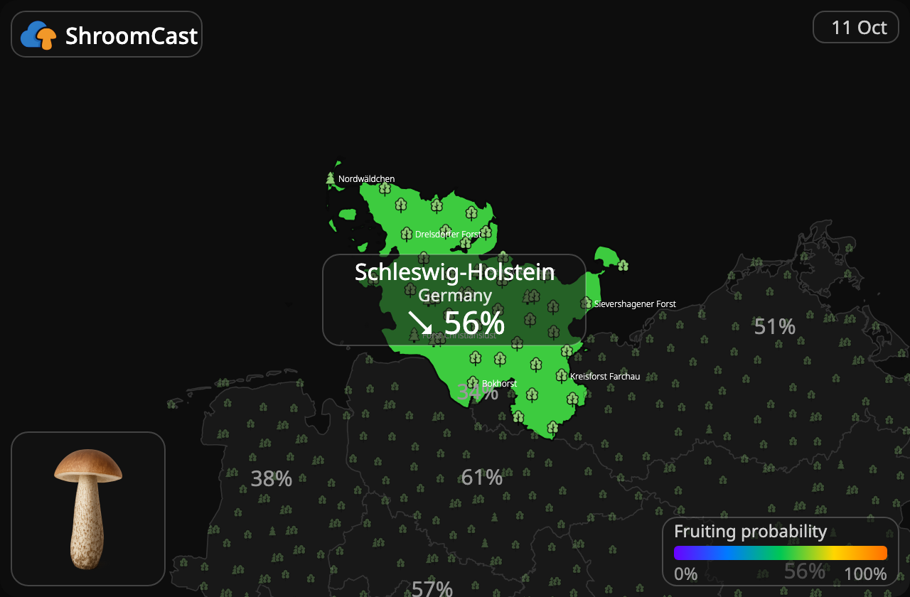 Boleto de abedul Schleswig-Holstein