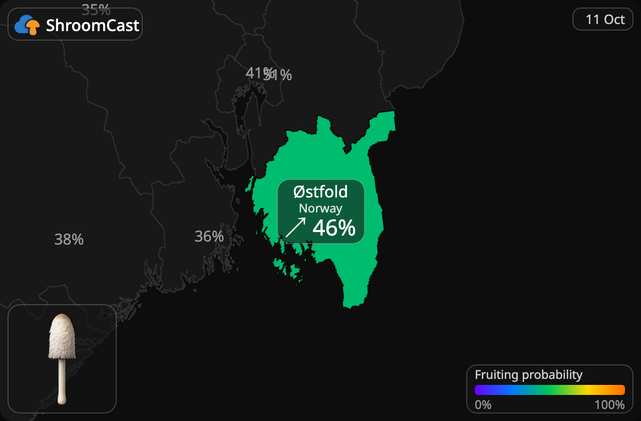 Barbuda Østfold