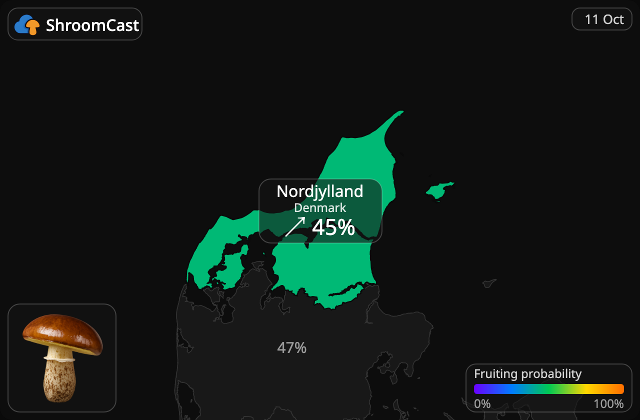 Boleto anillado Nordjylland