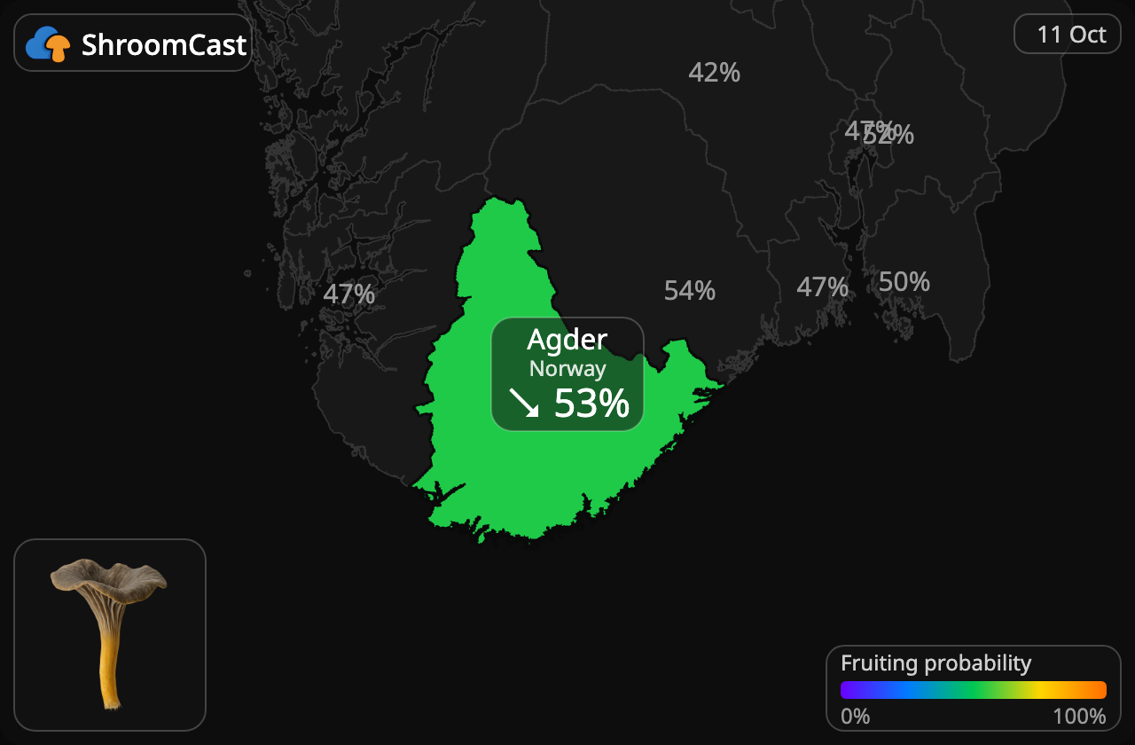 Angula de monte Agder