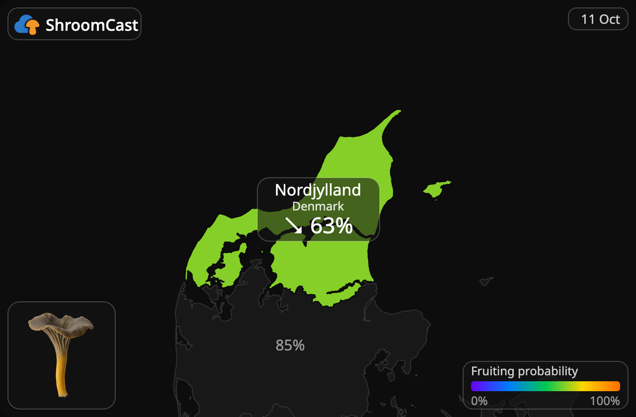 Angula de monte Nordjylland