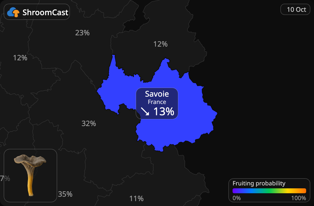Angula de monte Savoie
