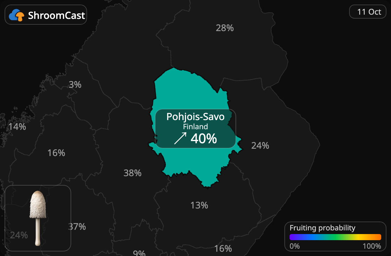 Barbuda Pohjois-Savo