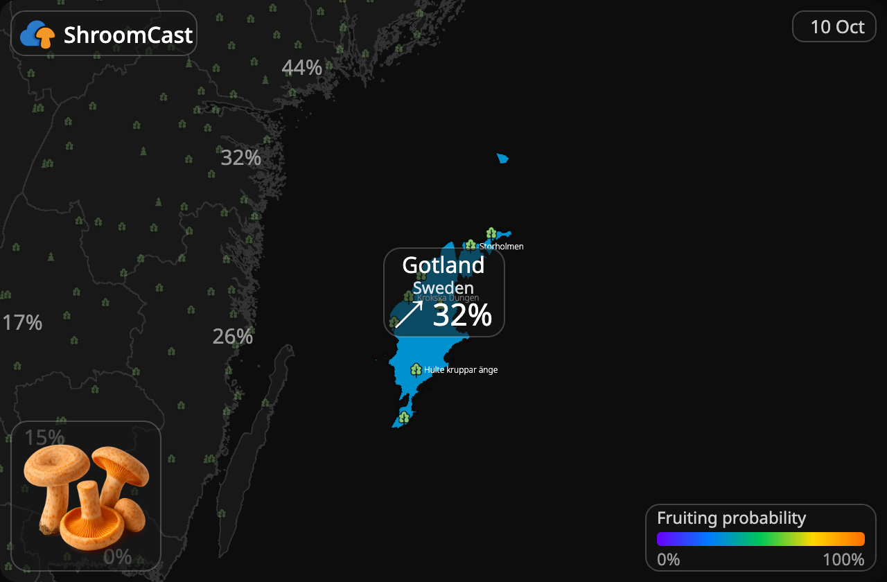 Níscalo Gotland