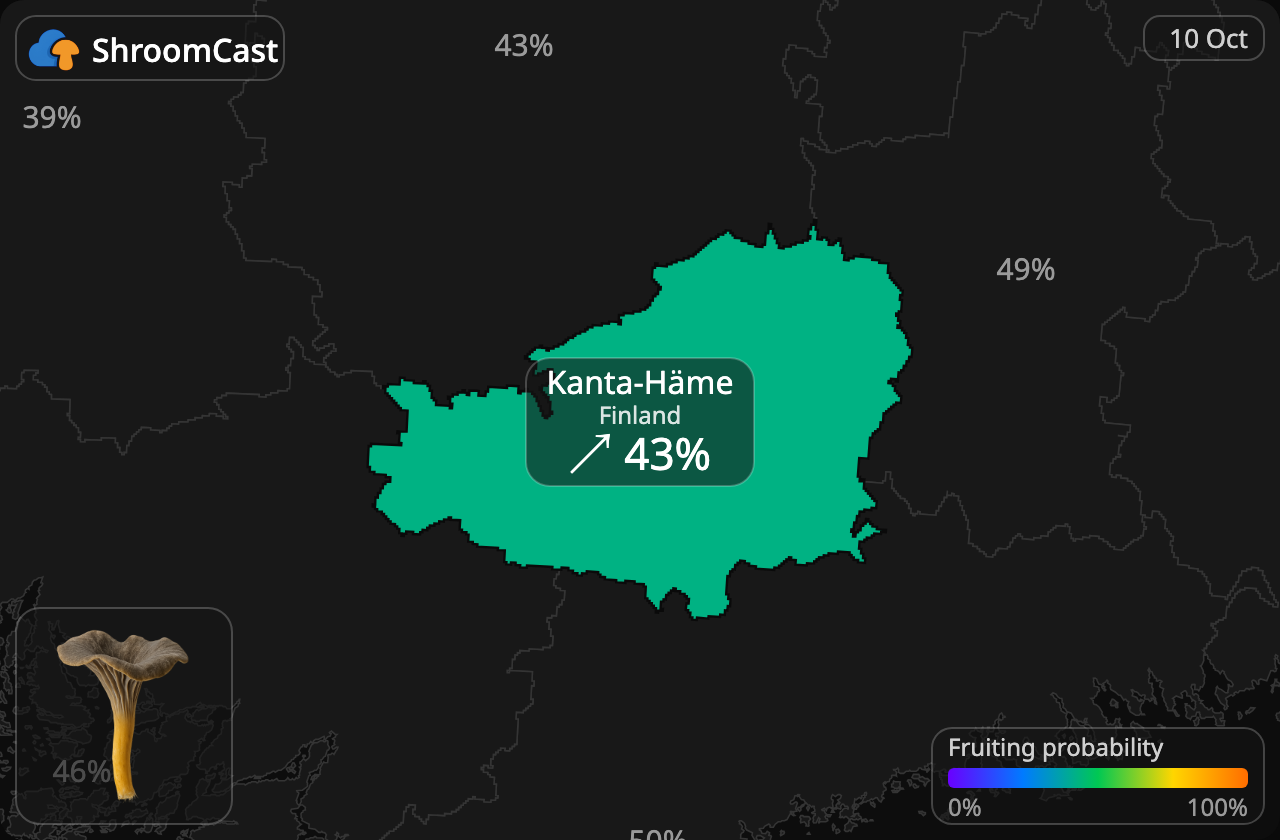 Angula de monte Kanta-Häme