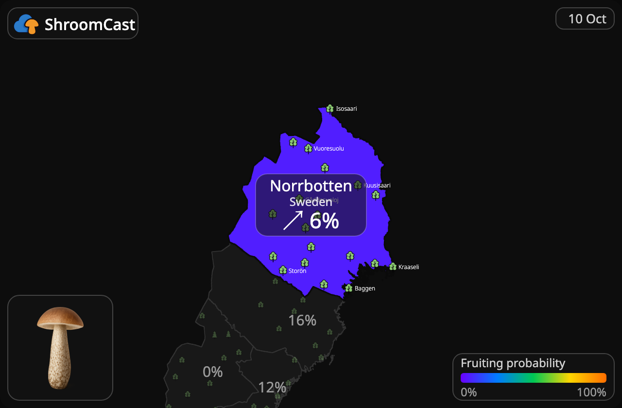 Boleto de abedul Norrbotten