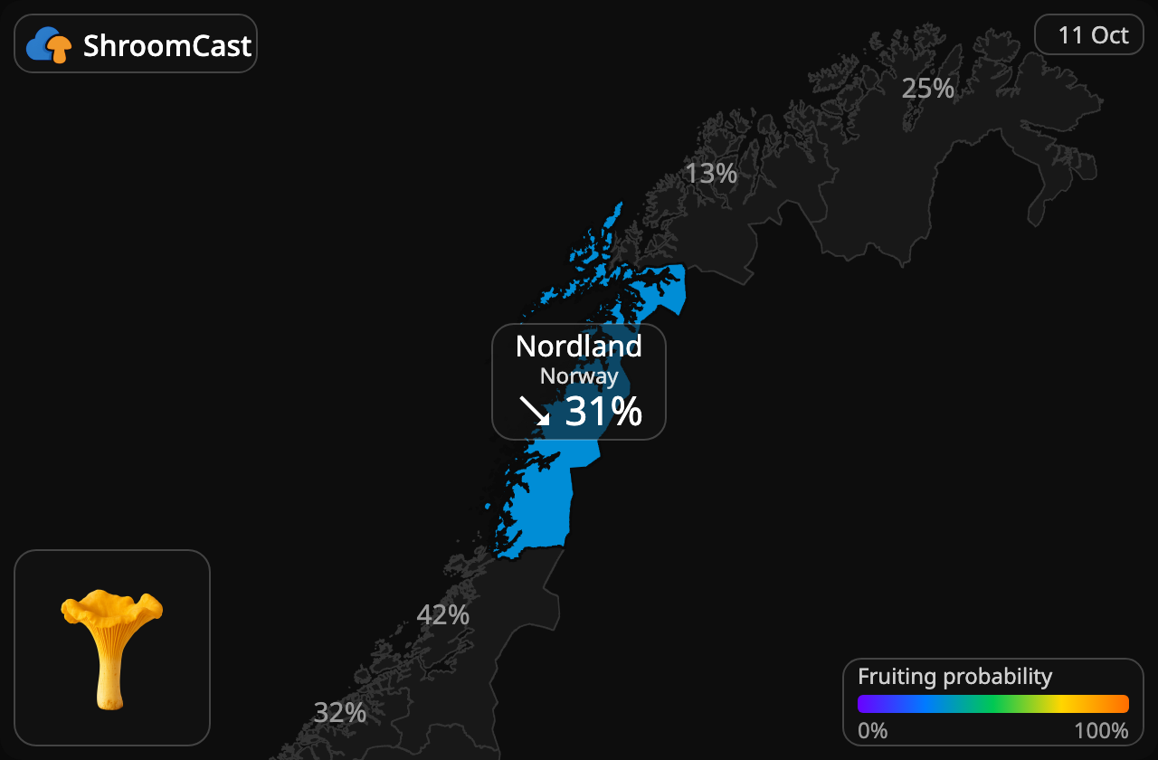 Rebozuelo Nordland