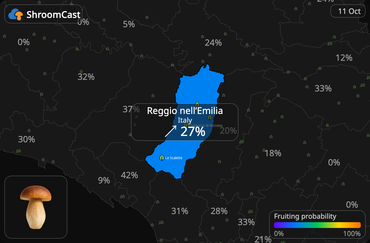 Boletus Reggio nell’Emilia