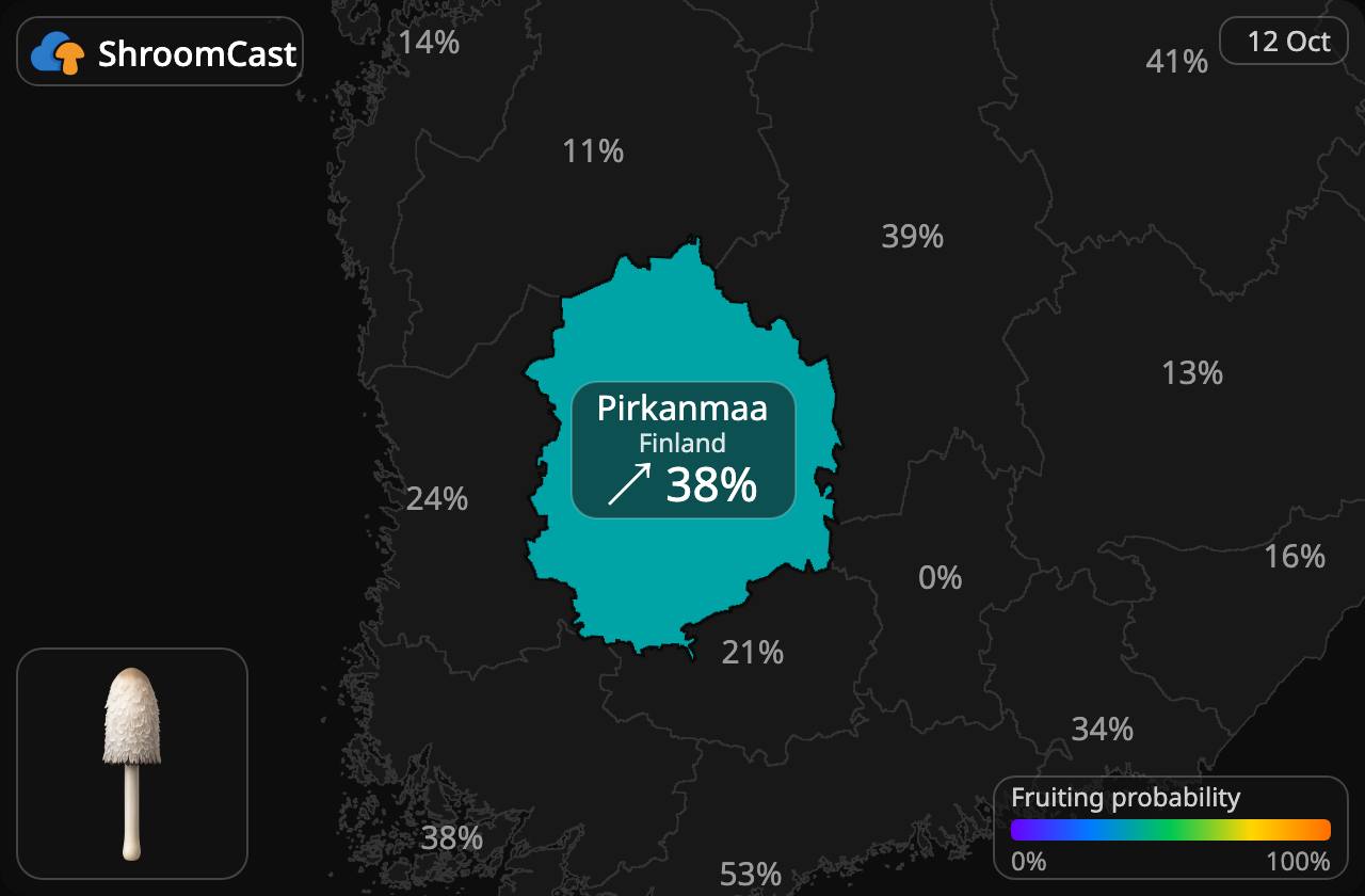 Barbuda Pirkanmaa