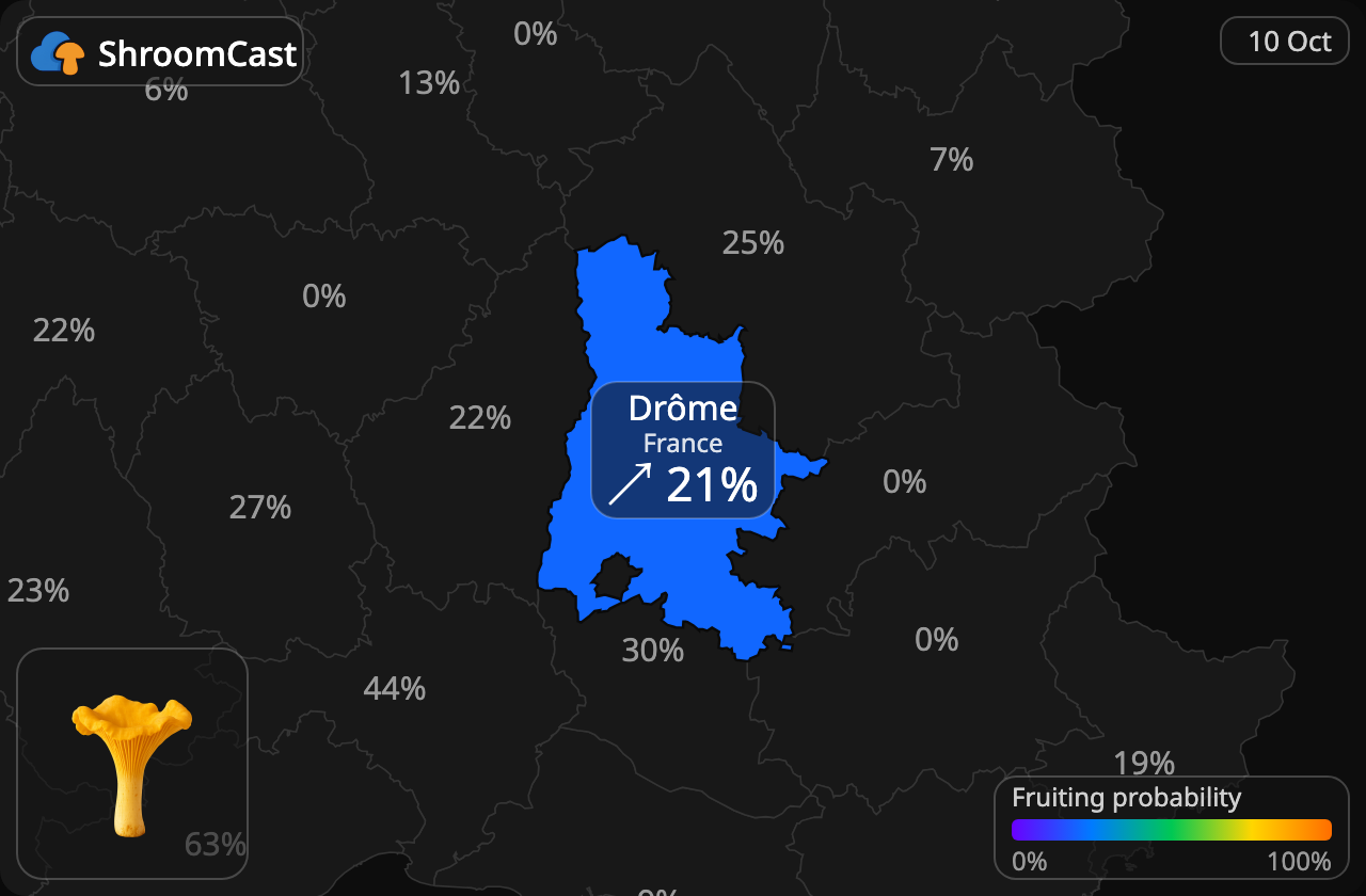 Rebozuelo Drôme