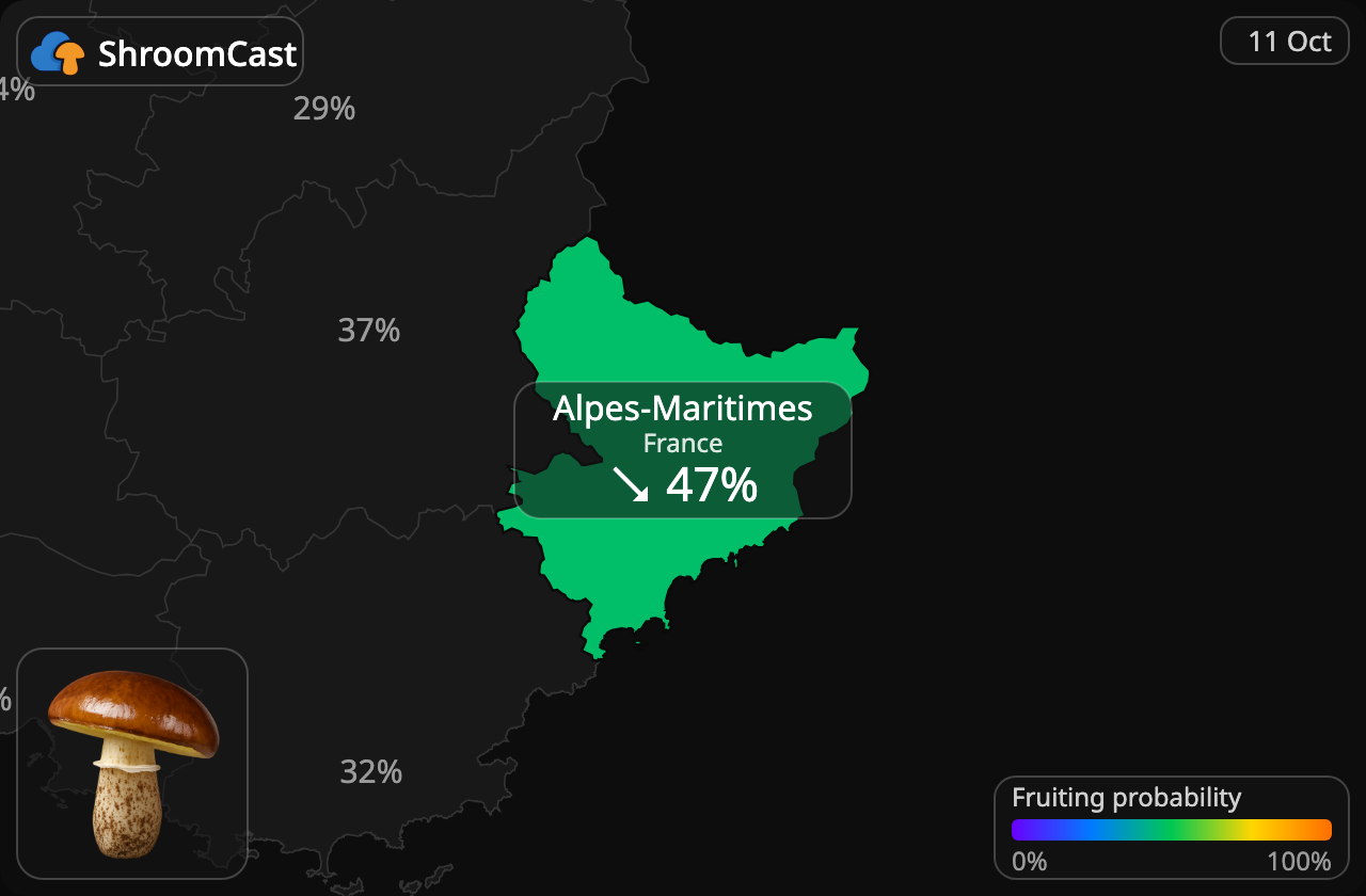 Boleto anillado Alpes-Maritimes