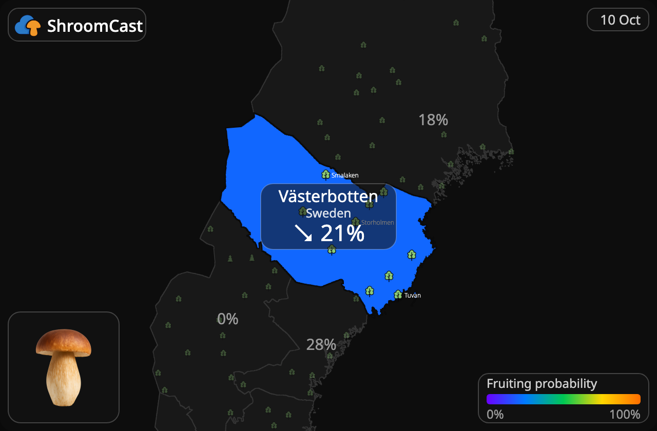 Boletus Västerbotten