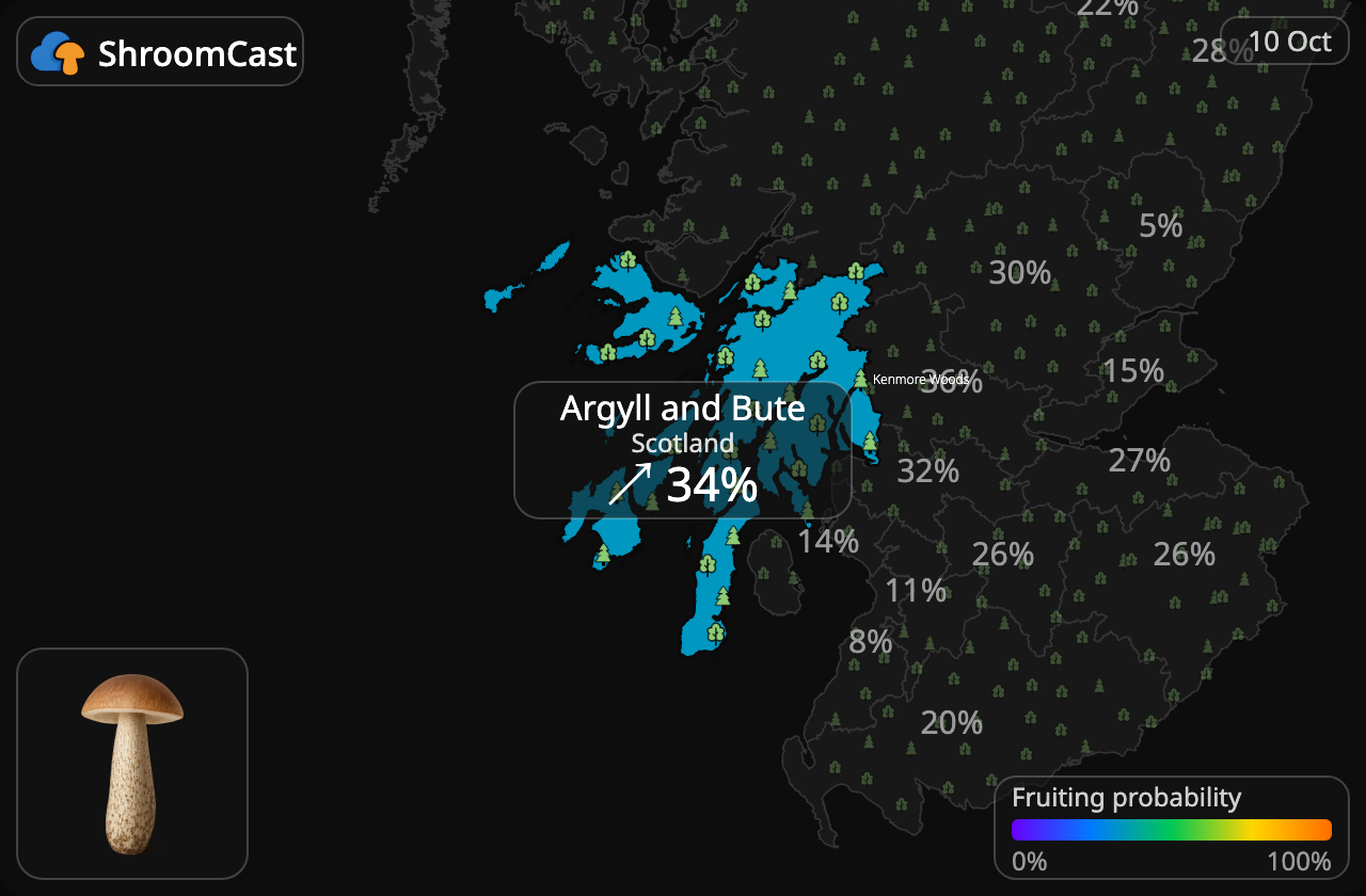 Boleto de abedul Argyll and Bute