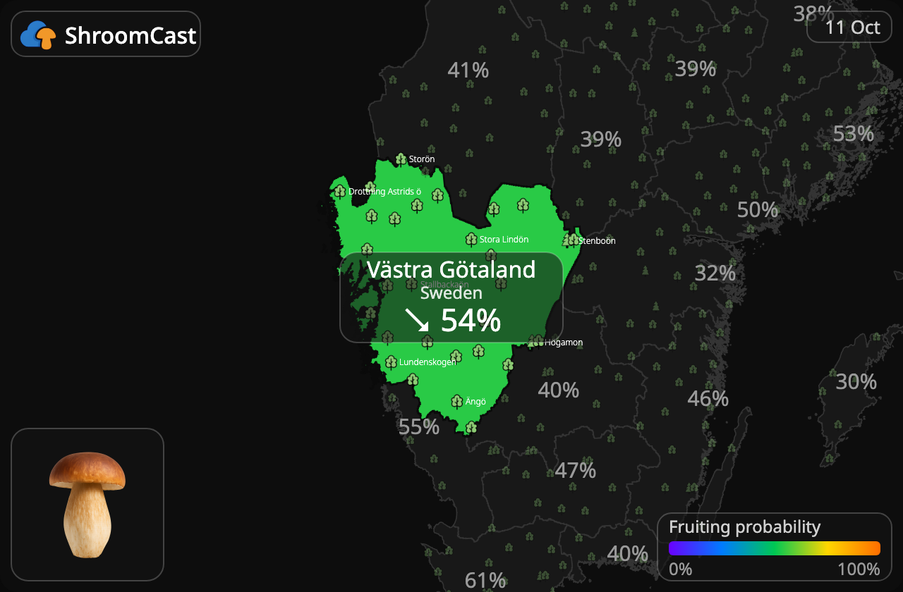 Boletus Västra Götaland