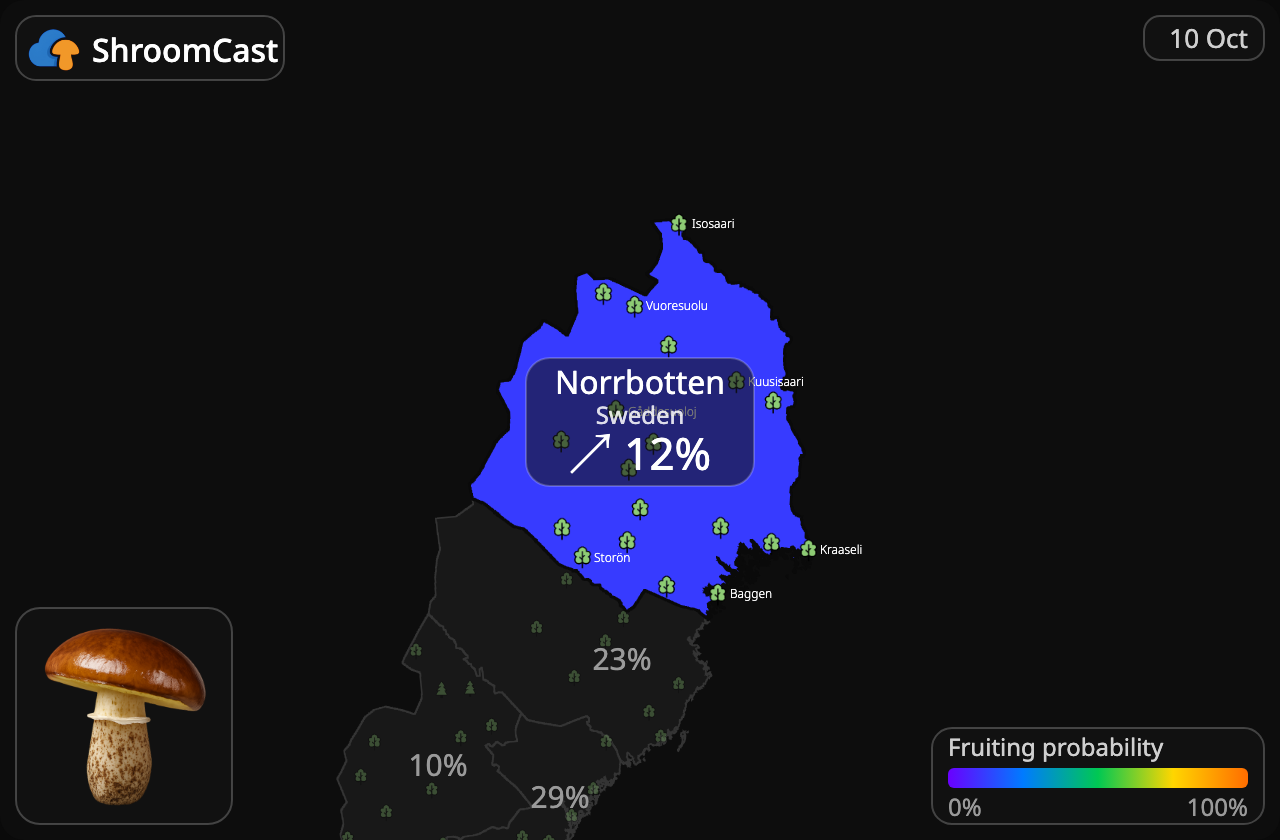 Boleto anillado Norrbotten