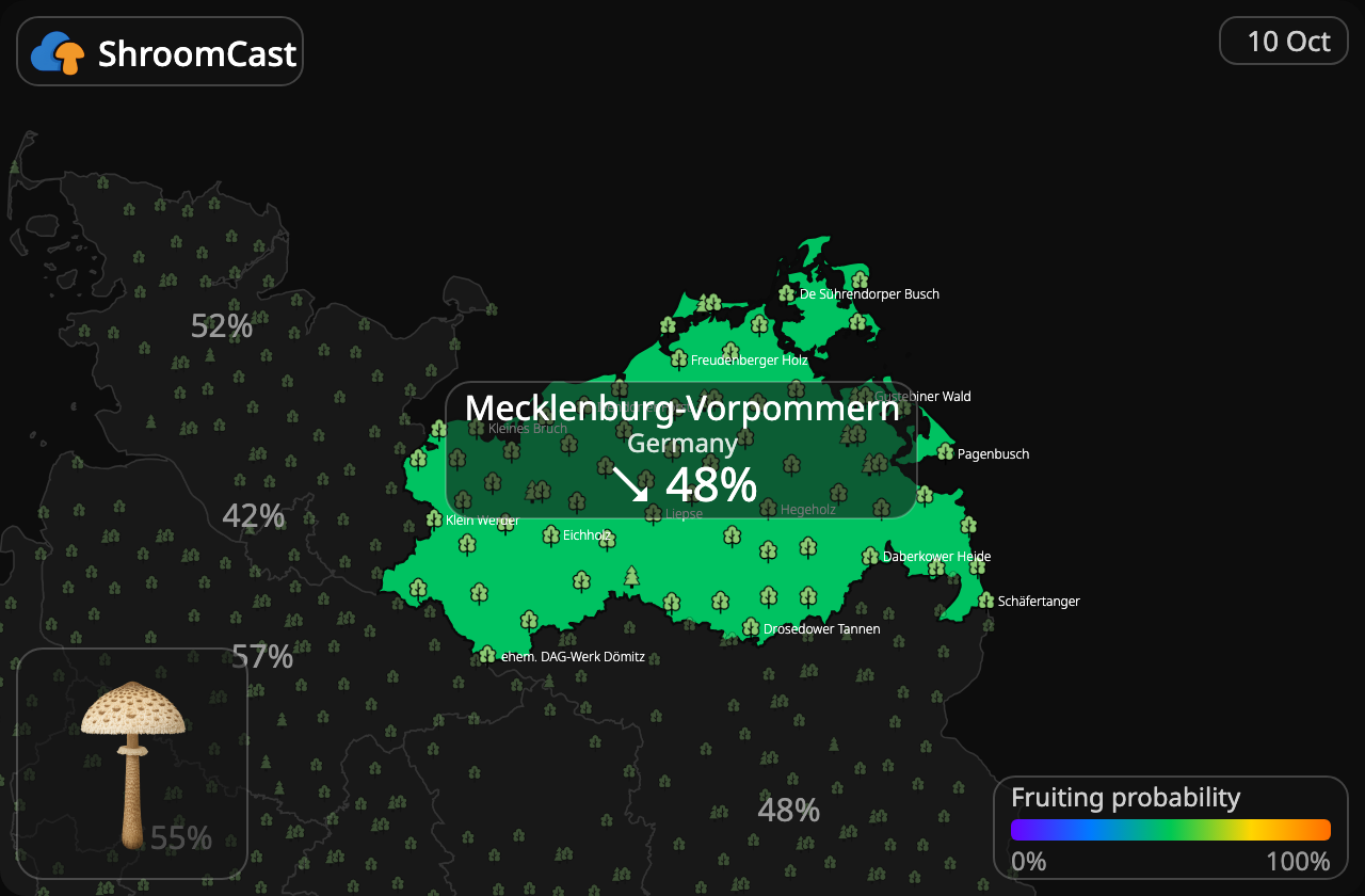 Parasol Mecklenburg-Vorpommern