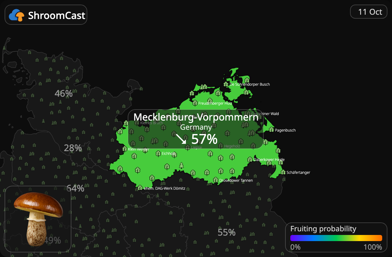 Boleto anillado Mecklenburg-Vorpommern