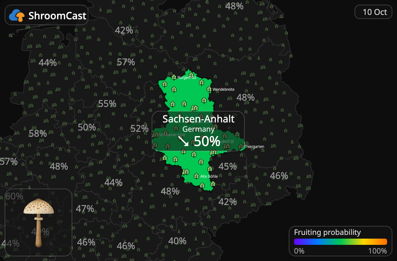 Parasol Sachsen-Anhalt