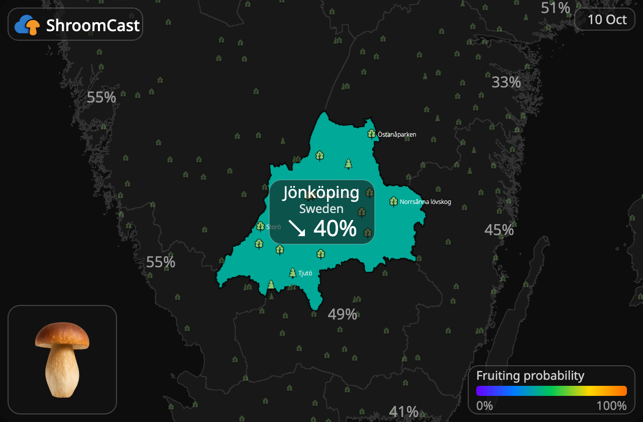 Boletus Jönköping