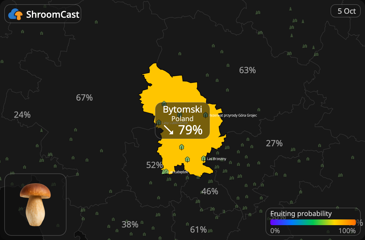 Porcini Bytomski
