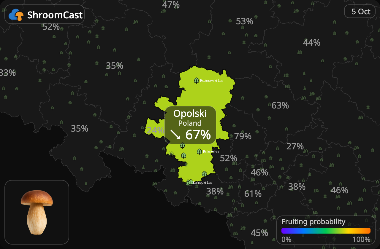 Karl Johan Opolski
