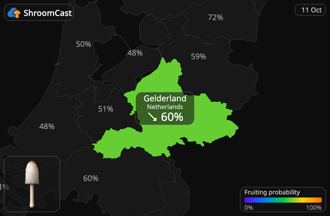 Barbuda Gelderland