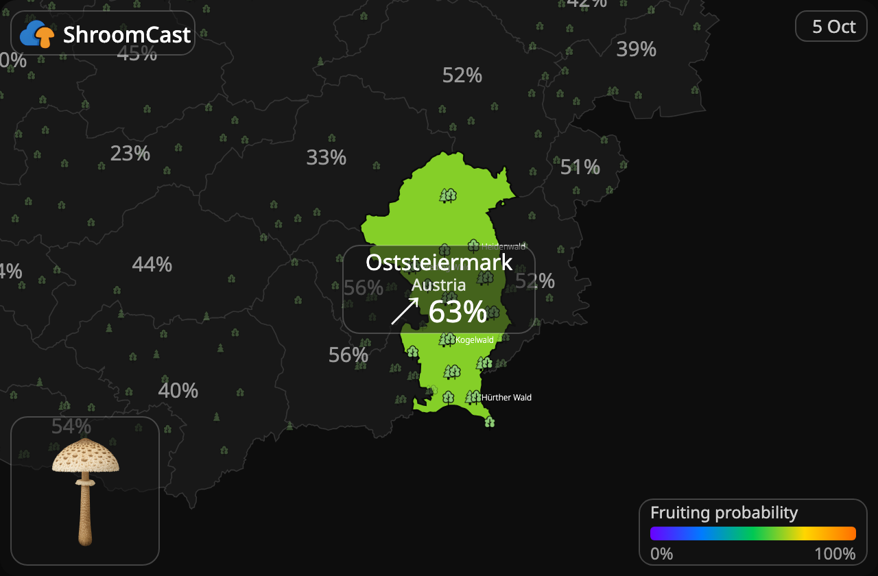 Ukonsieni Oststeiermark
