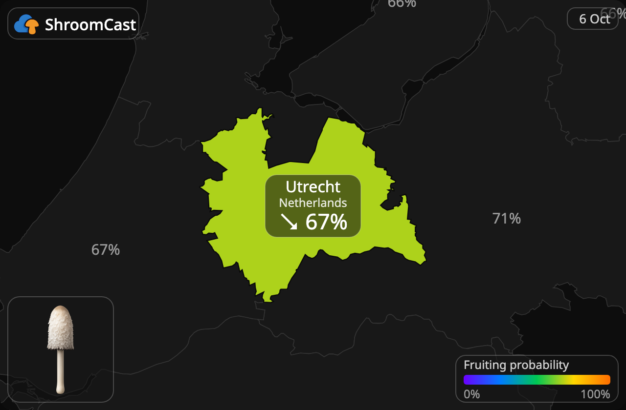Suomumustesieni Utrecht