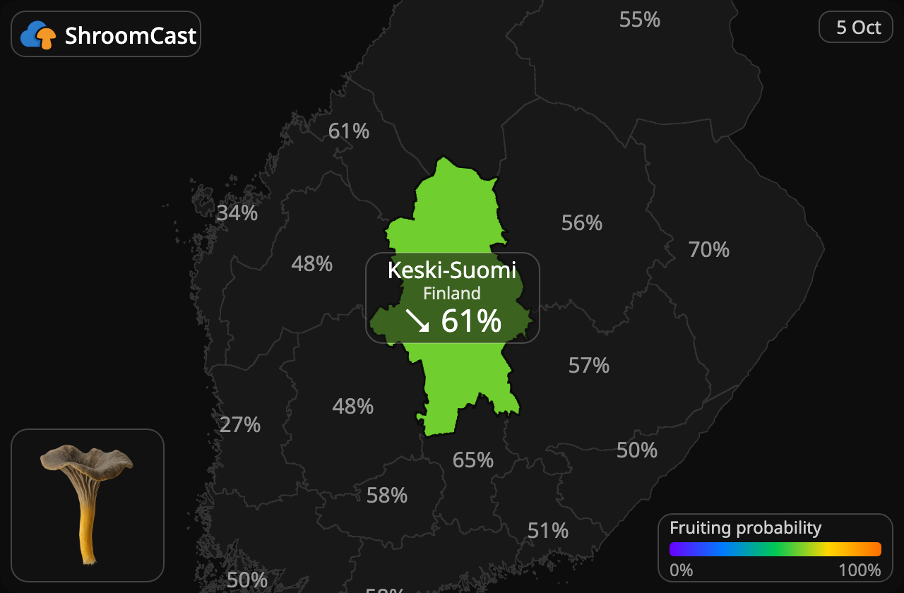 Trompetenpfifferling Keski-Suomi