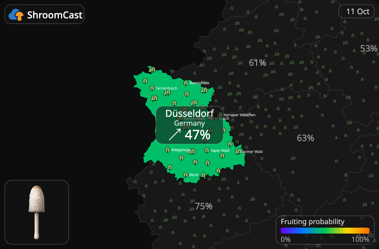 Barbuda Düsseldorf